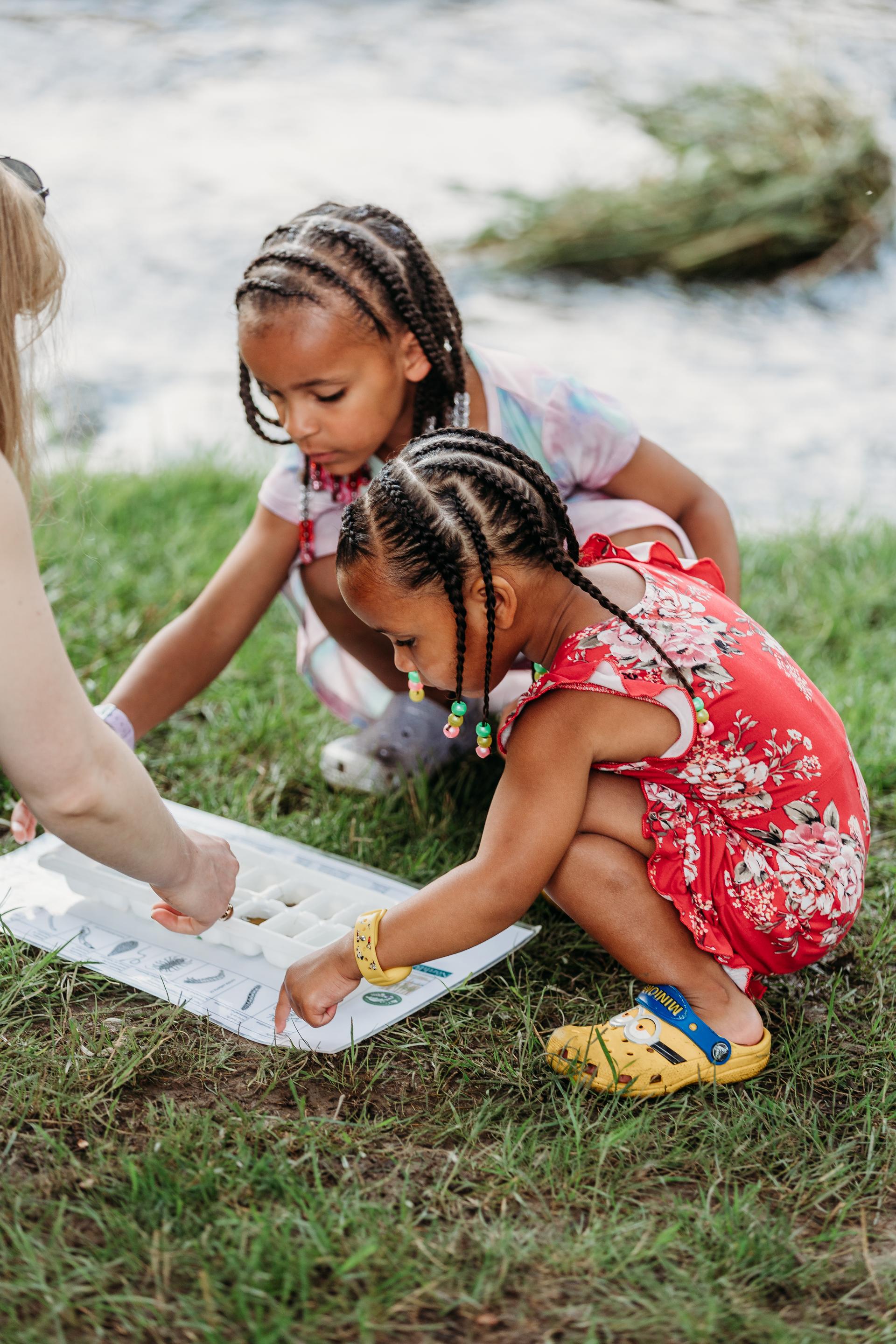 Children explore different kinds of insects, observing them closely during an outdoor learning activity