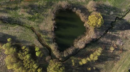 Aerial view of land transformed by a Treelay event, illustrating the scale of planting 1,100 trees and shrubs